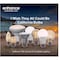 Feit Electric Feit Enhance G25 E26 (Medium) Filament LED Bulb Daylight 40 Watt Equivalence 3 pk G2540W950CAFL3R - alternate 2